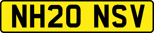 NH20NSV