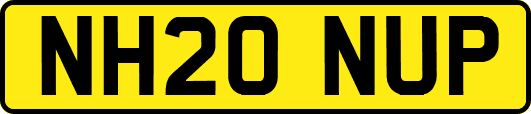 NH20NUP