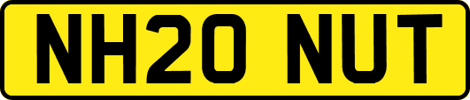 NH20NUT