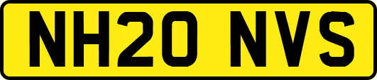 NH20NVS