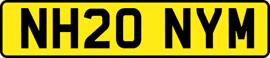NH20NYM