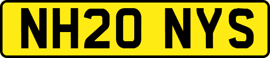 NH20NYS