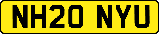 NH20NYU