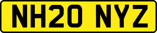 NH20NYZ