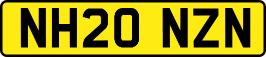 NH20NZN
