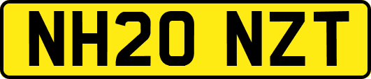 NH20NZT