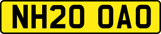 NH20OAO