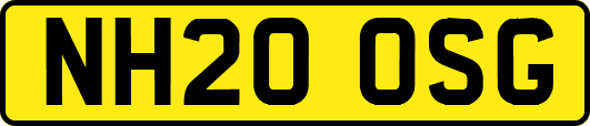NH20OSG