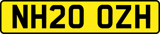 NH20OZH