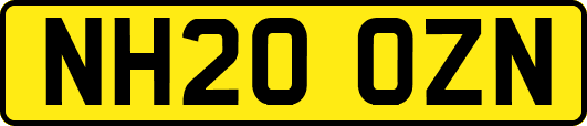NH20OZN