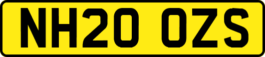 NH20OZS