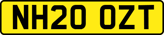 NH20OZT