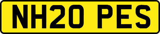 NH20PES