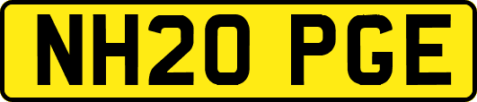NH20PGE