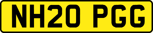 NH20PGG