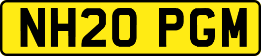 NH20PGM
