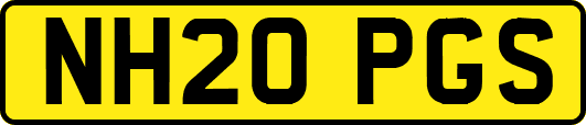NH20PGS