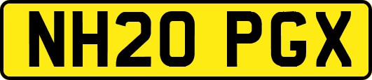 NH20PGX