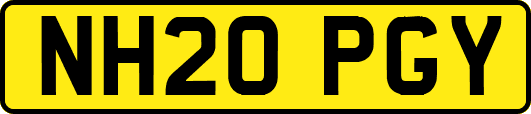 NH20PGY