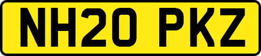 NH20PKZ