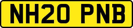 NH20PNB