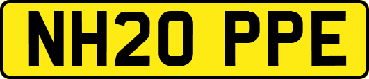 NH20PPE