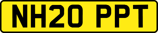 NH20PPT