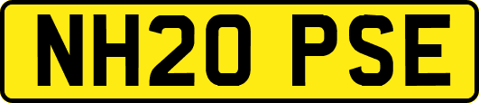 NH20PSE