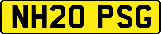 NH20PSG