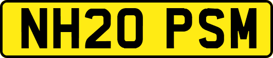 NH20PSM