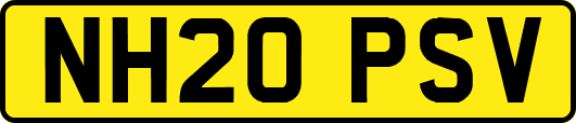 NH20PSV