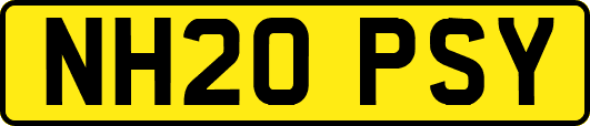 NH20PSY