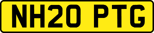 NH20PTG