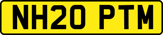 NH20PTM