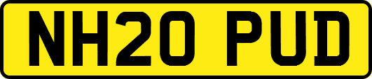 NH20PUD