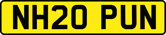 NH20PUN