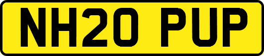 NH20PUP