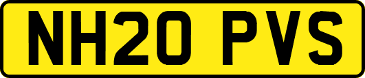 NH20PVS