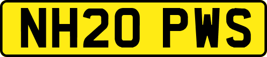 NH20PWS
