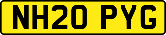 NH20PYG