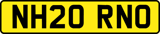 NH20RNO