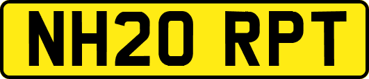 NH20RPT