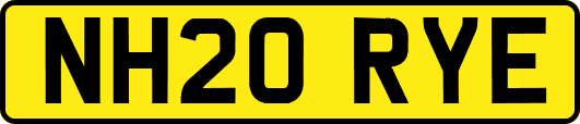 NH20RYE