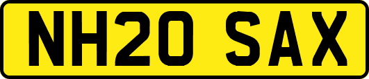 NH20SAX