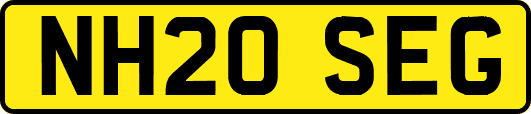 NH20SEG