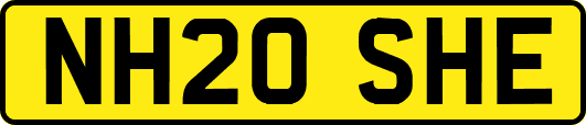 NH20SHE