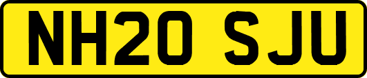 NH20SJU
