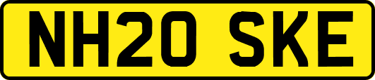 NH20SKE