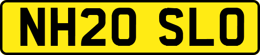 NH20SLO