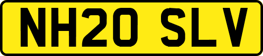 NH20SLV